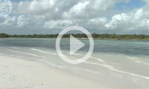 Boca Paila Beach, Tulum - Nature, Relaxation and Beauty (B)